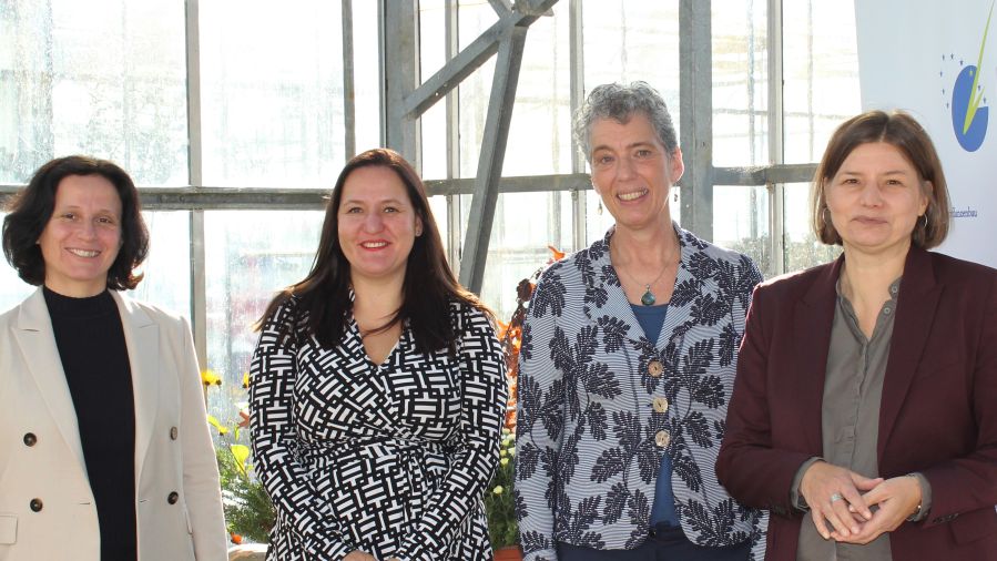 Foto: Die Rednerinnen Prof Barbara Sturm, Dr. Manja Schüle, Prof. Nicole van Dam, Dr. Manuela Rottmann (v.l.)  (c) IGZ, Fotografin: Eva Piontek