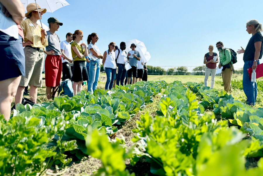 Katia Heistermann explained the procedure of conservation tillage in organic vegetable production in the BioStripPlant project.