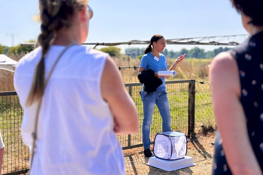 Dr Rebekka Sontowski spoke about sustainable strategies for controlling the cabbage fly in oilseed rape.